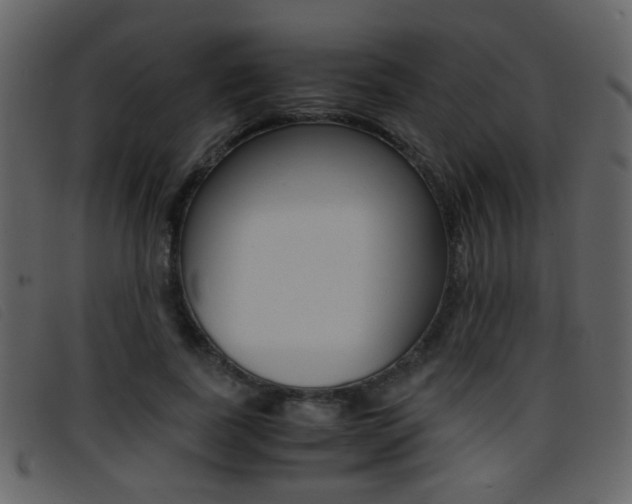 X0000096650739200802050933