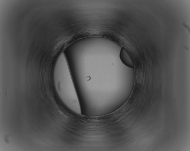 X0000096650740200802050933