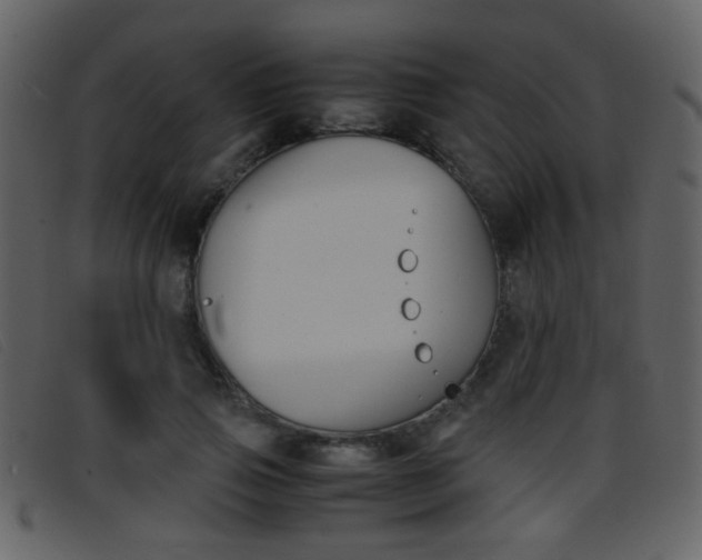 X0000096650741200802050933