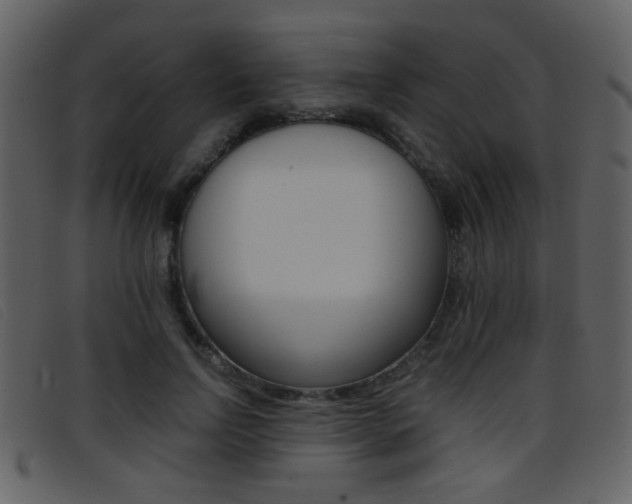 X0000096650742200802050933