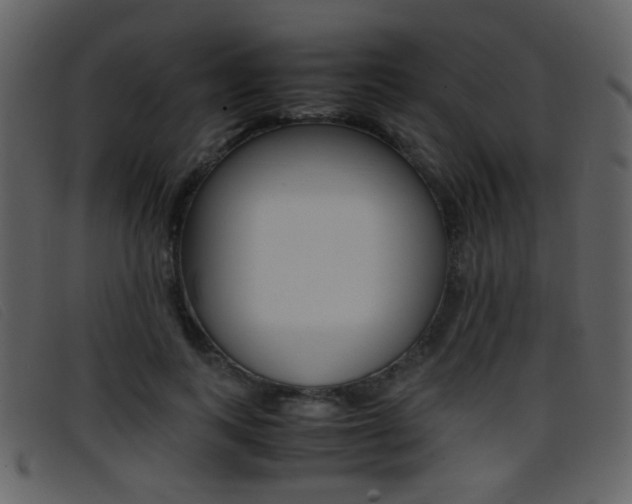 X0000096650743200802050933