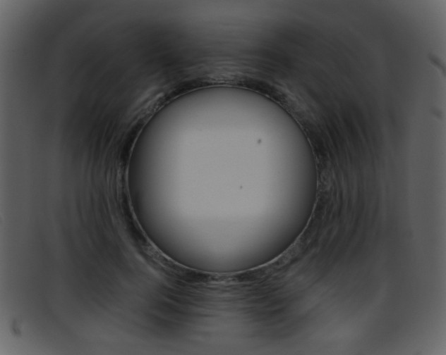 X0000096650744200802050933