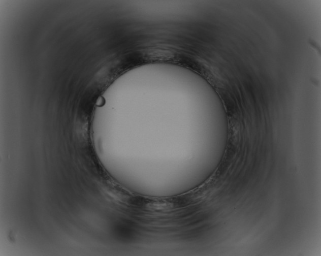X0000096650745200802050933