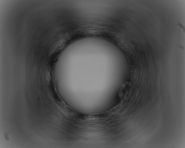 X0000096650746200802050933