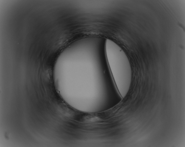 X0000096650747200802050933