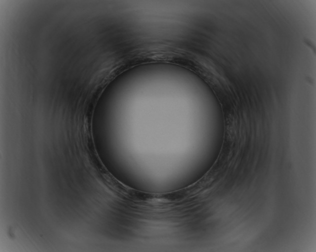 X0000096650748200802050933