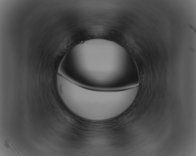 X0000096650750200802050933