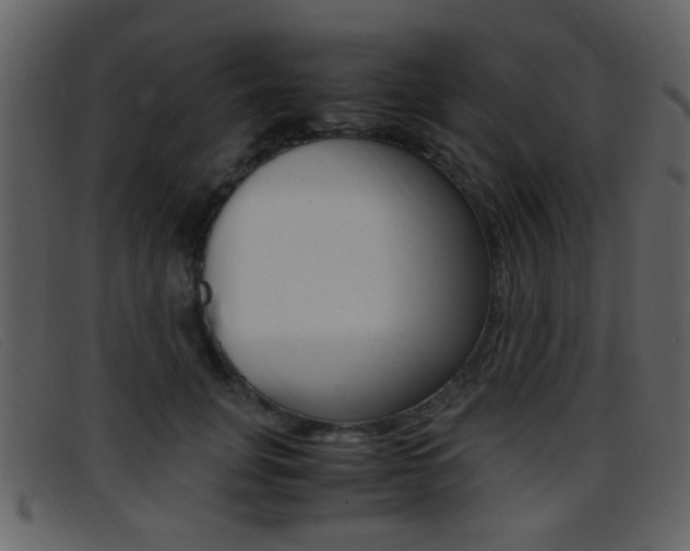 X0000096650751200802050934