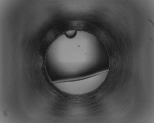 X0000096650752200802050934