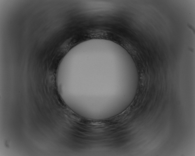X0000096650753200802050934