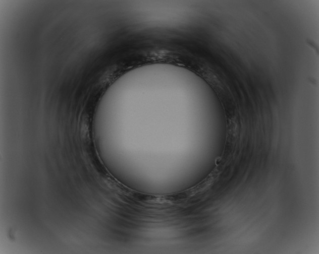 X0000096650754200802050934