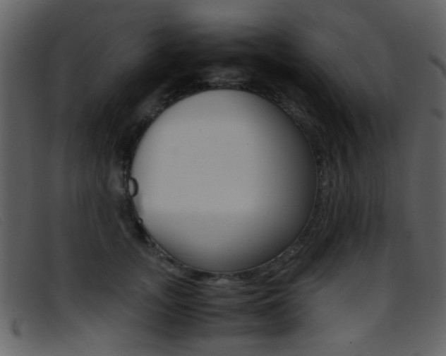 X0000096650755200802050934