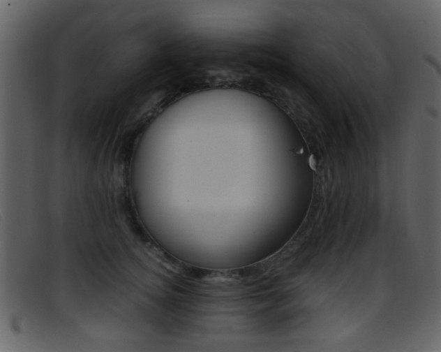 X0000096650756200802050934