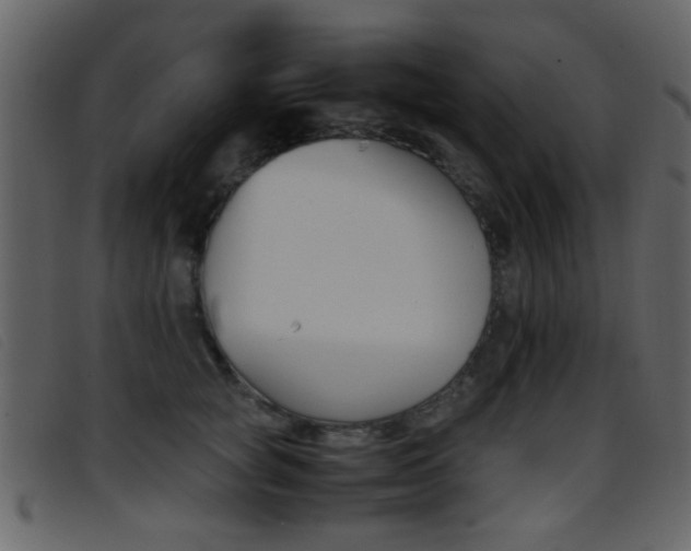 X0000096650757200802050934
