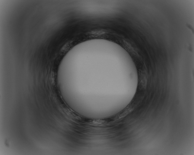 X0000096650758200802050934