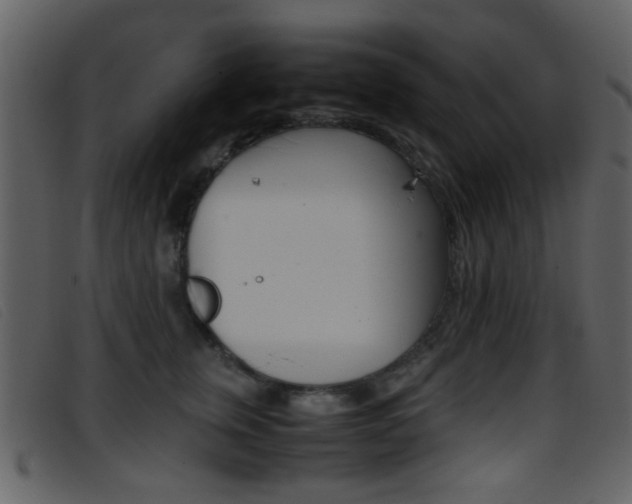 X0000096650759200802050934
