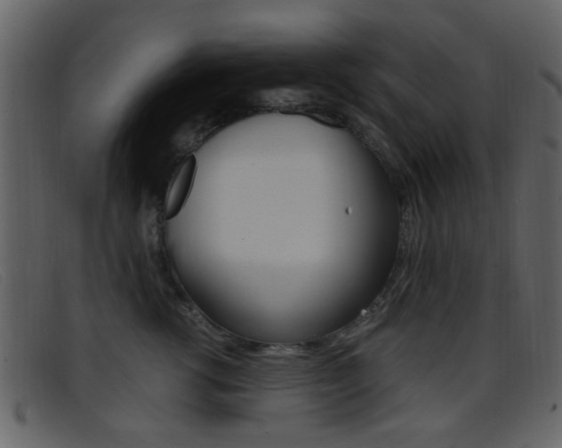 X0000096650762200802050934