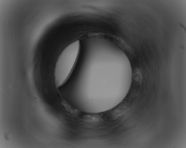 X0000096650763200802050934