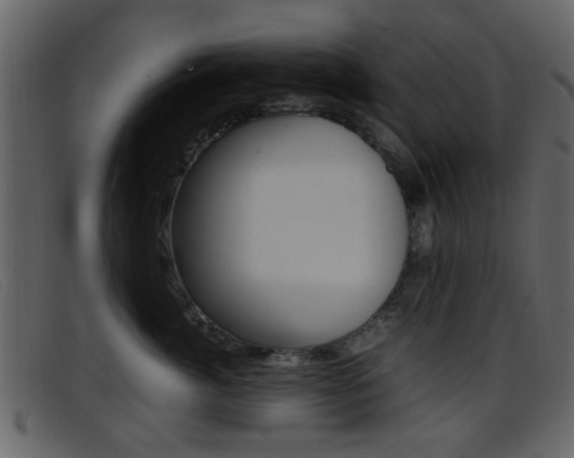X0000096650764200802050934
