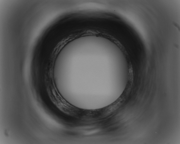 X0000096650765200802050934