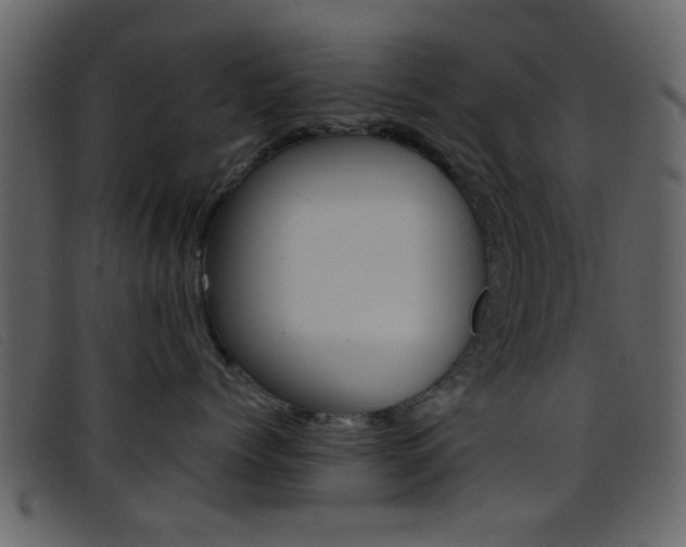 X0000096650768200802050934