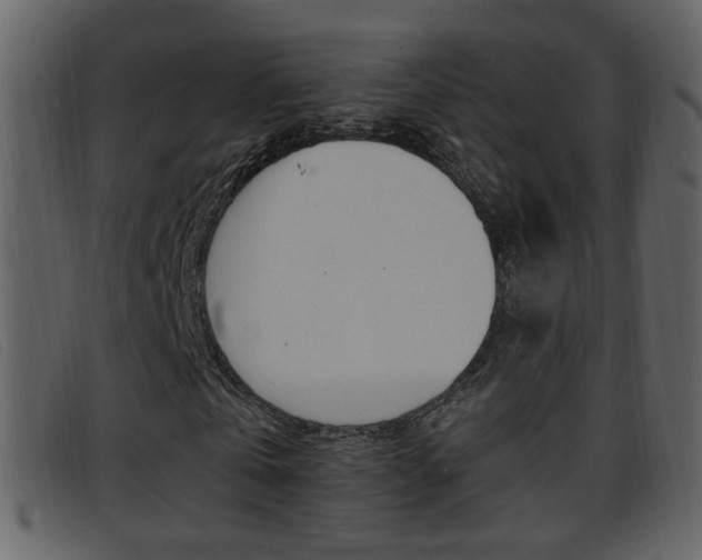 X0000096650769200802050933