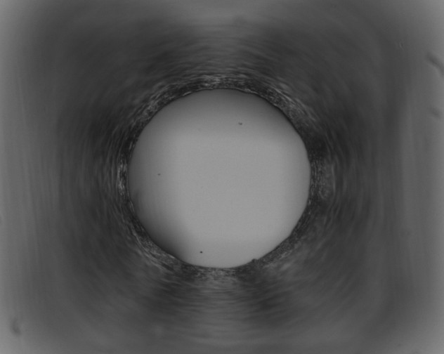 X0000096650770200802050933