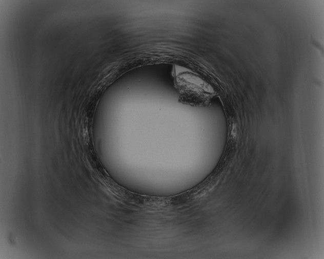 X0000096650771200802050933