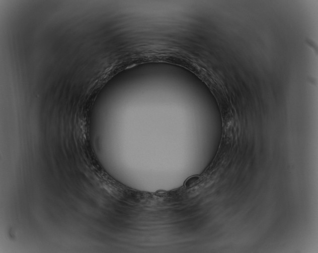 X0000096650772200802050933