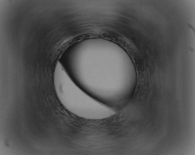 X0000096650773200802050933