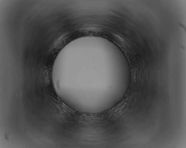 X0000096650774200802050933