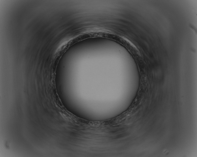 X0000096650775200802050933