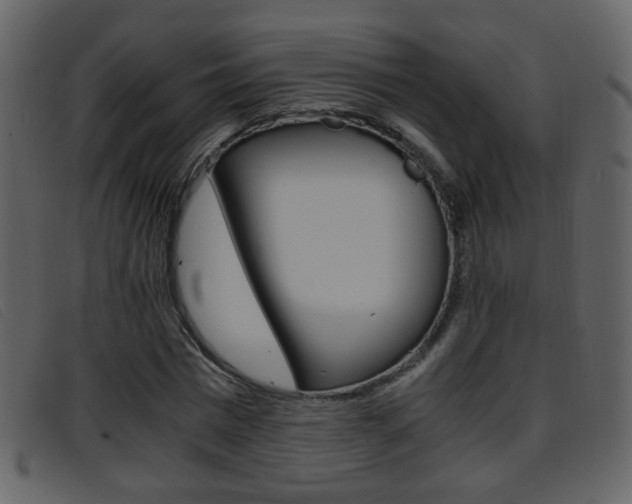 X0000096650777200802050933