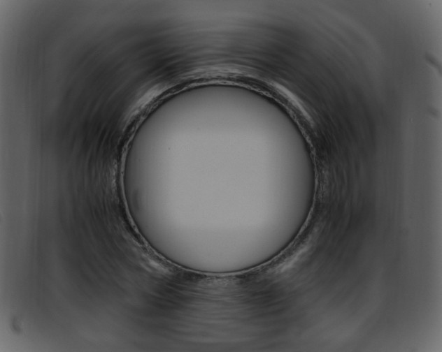 X0000096650778200802050933