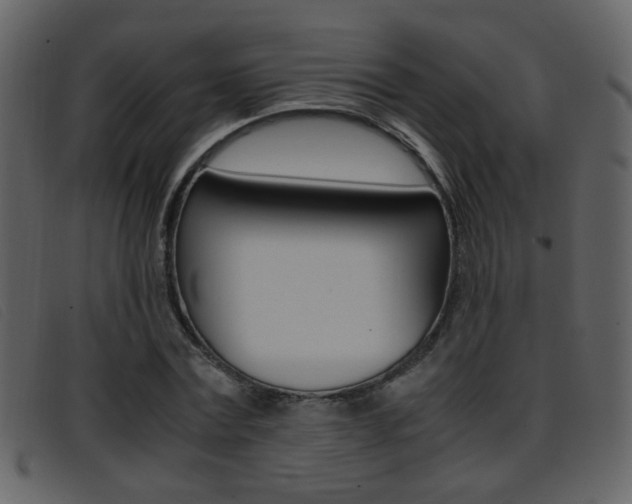 X0000096650779200802050933