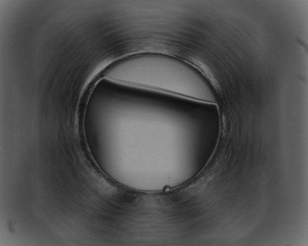 X0000096650780200802050933