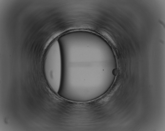 X0000096650781200802050933