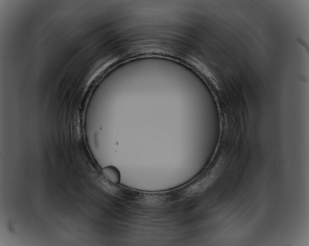 X0000096650782200802050933