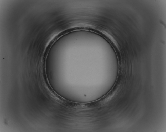 X0000096650783200802050933