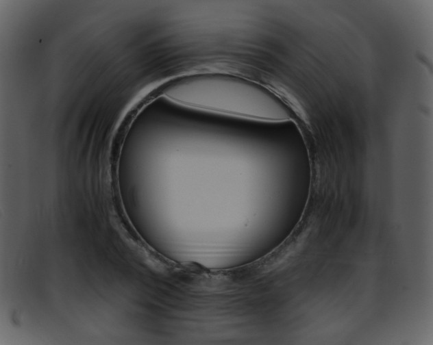 X0000096650784200802050933