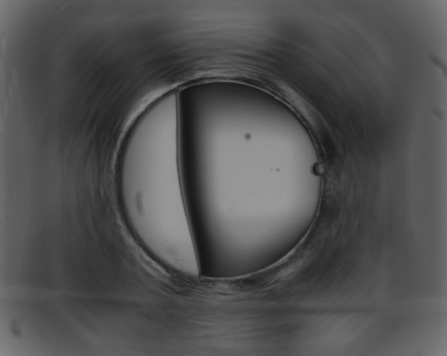 X0000096650787200802050933