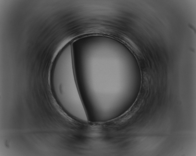 X0000096650788200802050933