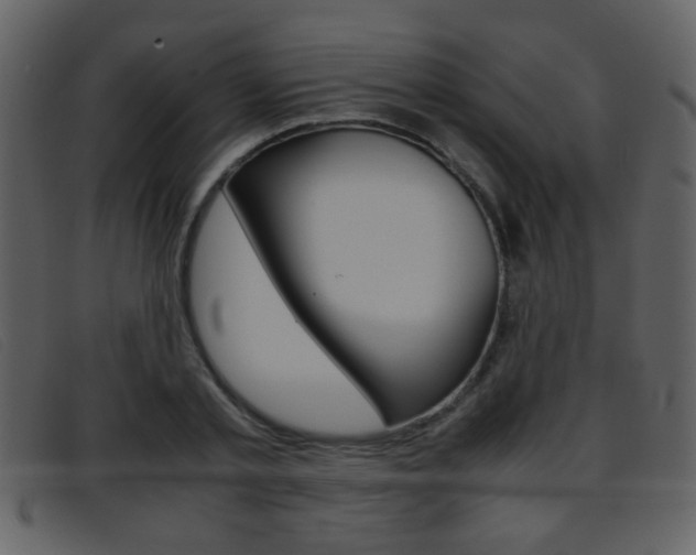 X0000096650789200802050933