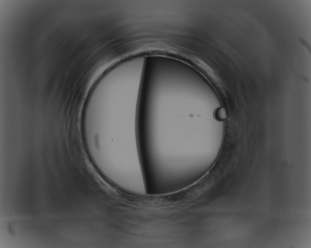 X0000096650791200802050933