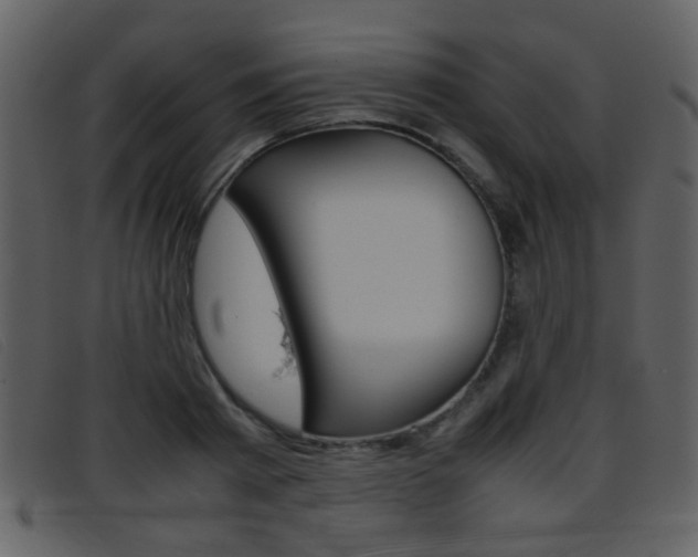 X0000096650793200802050933