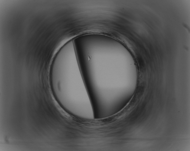 X0000096650795200802050933