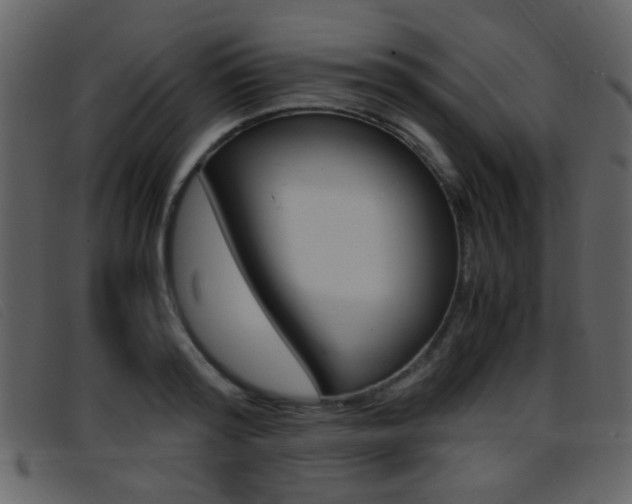 X0000096650796200802050933