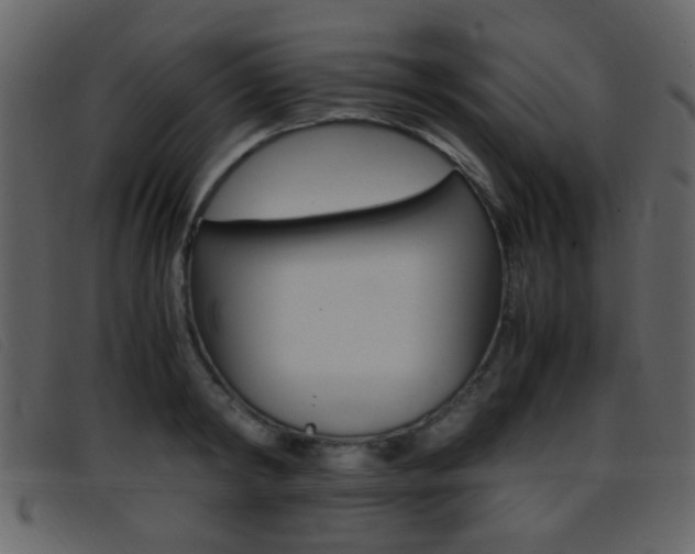 X0000096650798200802050933
