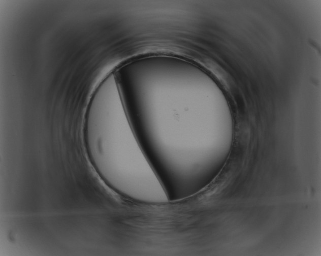 X0000096650799200802050933
