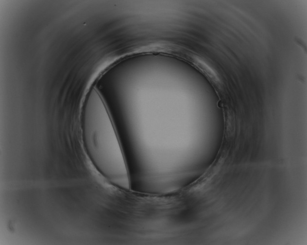 X0000096650800200802050932